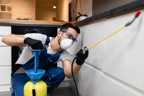 Professional Pest Control in East Lexington, VA