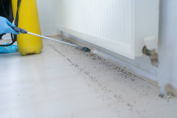 Best Commercial Pest Control Services  in East Lexington, VA