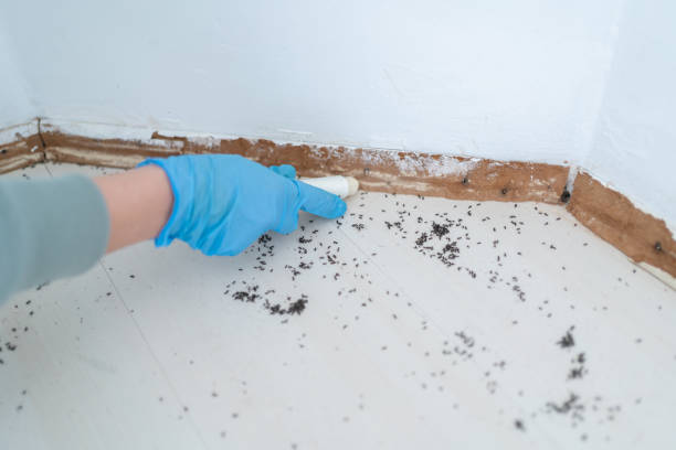 Best Pest Prevention Services  in East Lexington, VA
